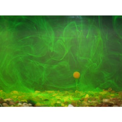 Korda Goo 