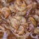 Nash Liquid Brine Shrimp & Gammarus 500ml