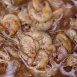 Nash Booster Brine Shrimp & Gammarus 500ml