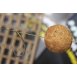 Korda Extenda Stops