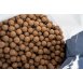 Nash Boilies Monster Shrimp 15mm 1kg